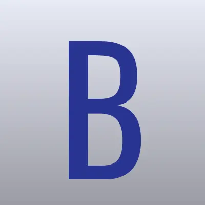 Базис Информационных Технологий, лого-визитка