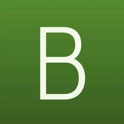 Bonolit, лого-визитка
