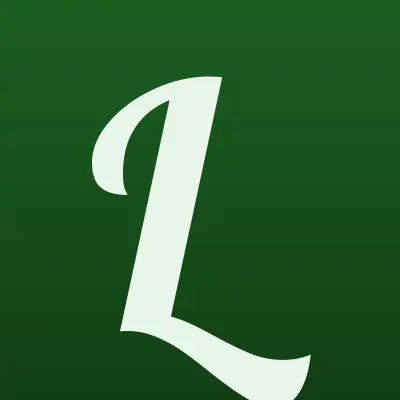 LteStore, лого-визитка