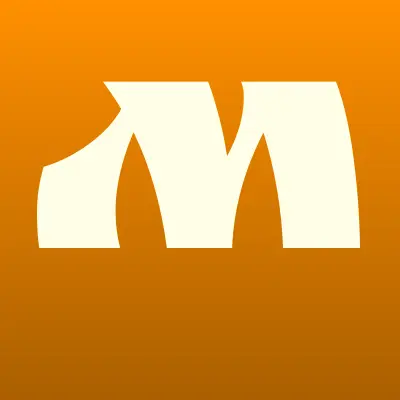 Макснет Системы, интернет-провайдер, лого-визитка