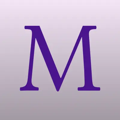 Металлстройснаб, лого-визитка