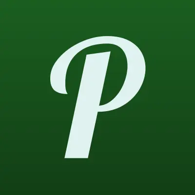 ПРАКТИЧНЫЕ РЕШЕНИЯ, дизайн-студия интерьера, лого-визитка