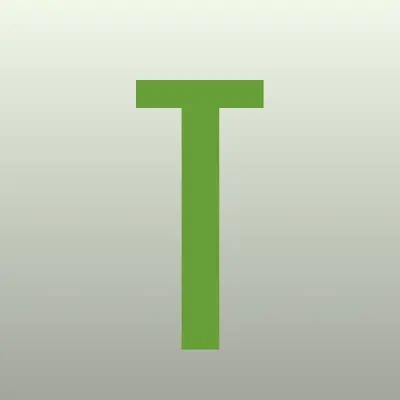 Tayzer, торговая компания, лого-визитка
