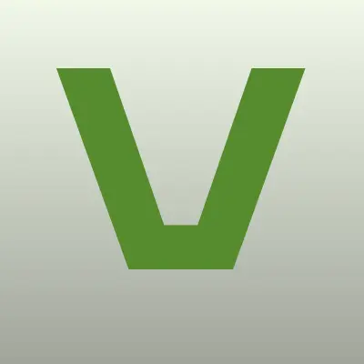 VIVA Деньги, микрофинансовая организация, лого-визитка