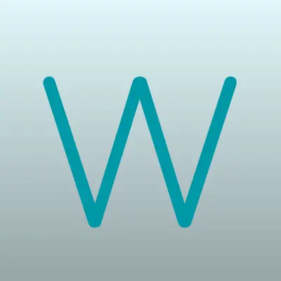 Wildberries, лого-визитка